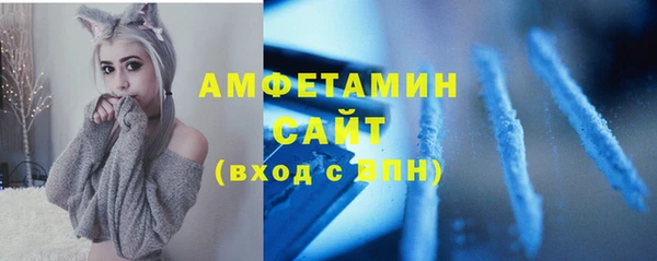 spice Богородицк