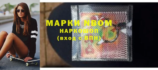 spice Богородицк