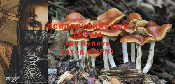 кокаин колумбия Богородск