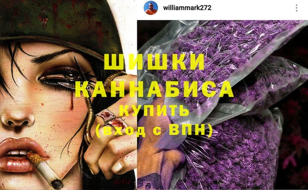 spice Богородицк