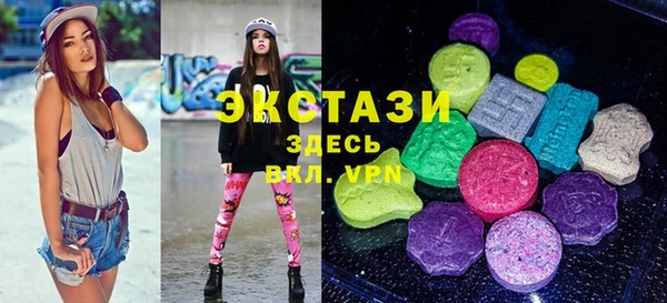spice Богородицк