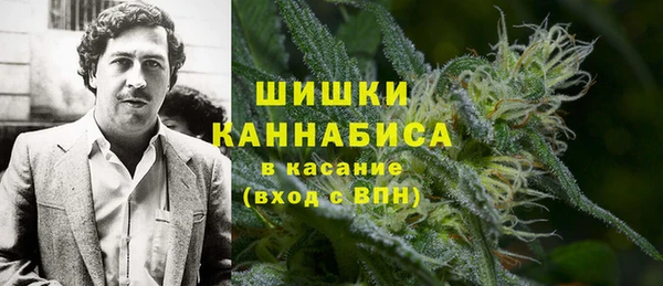 spice Богородицк