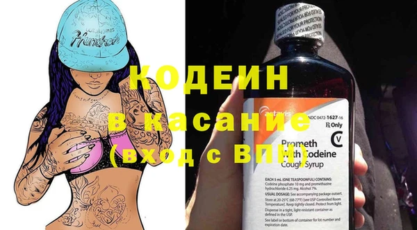 spice Богородицк