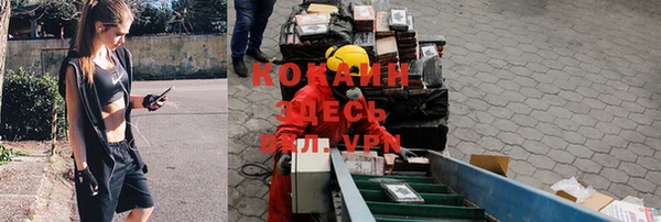 spice Богородицк