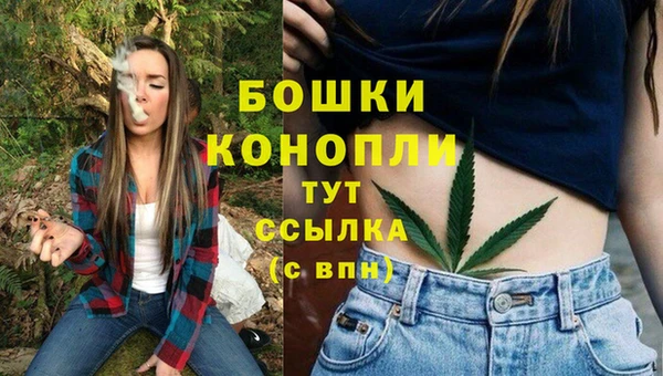мяу мяу кристалл Богданович