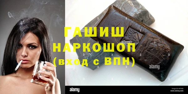 spice Богородицк