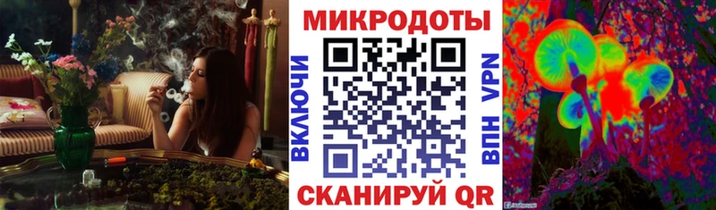 блэк спрут ТОР  Киржач  Псилоцибиновые грибы мицелий 